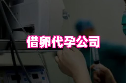 123试管孕网 3
