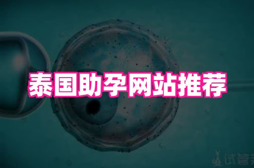 123试管孕网 4